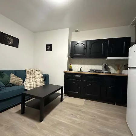 Le Cocon Cathedrale Lejlighed Metz