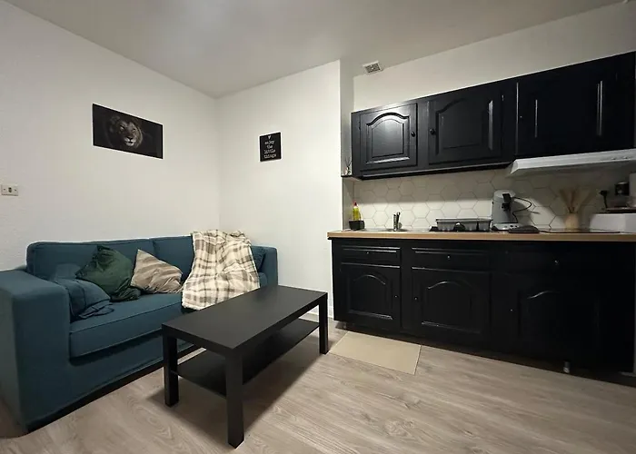 Le Cocon Cathedrale Metz